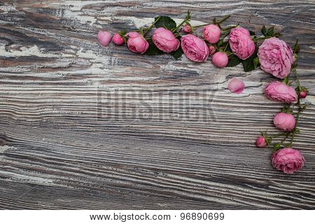 Romantic floral frame with roses