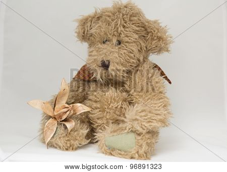 Teddy Bear