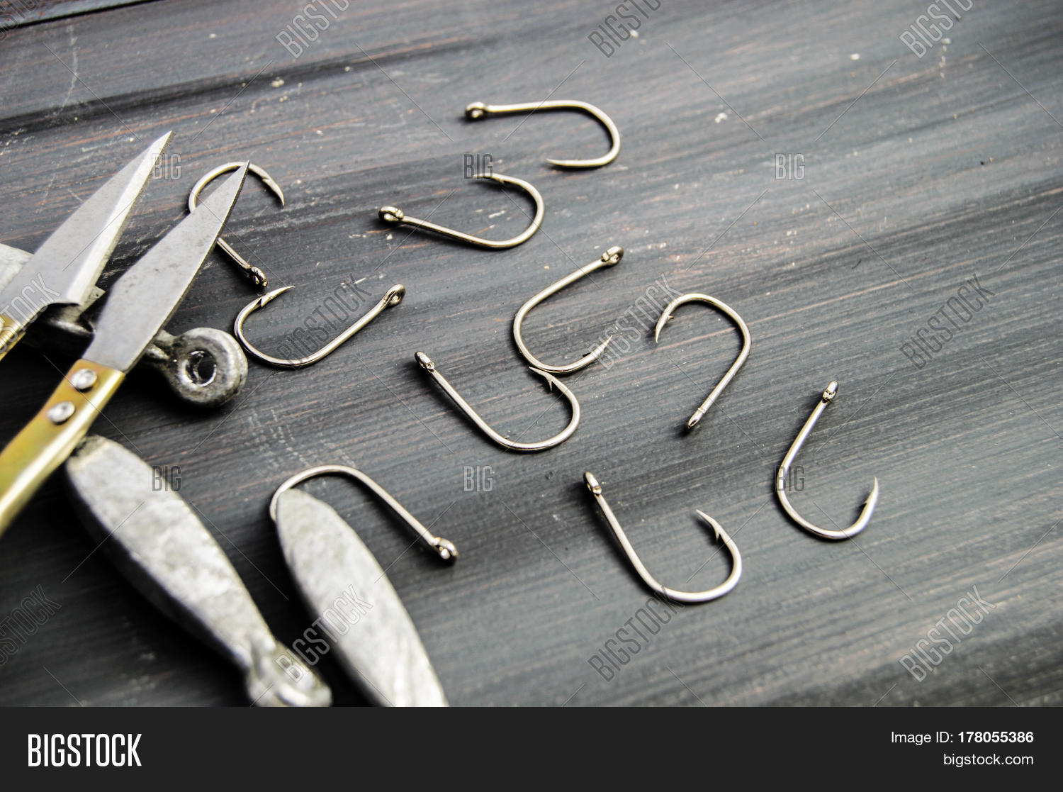 Fishing Needle, Image & Photo (Free Trial) Bigstock
