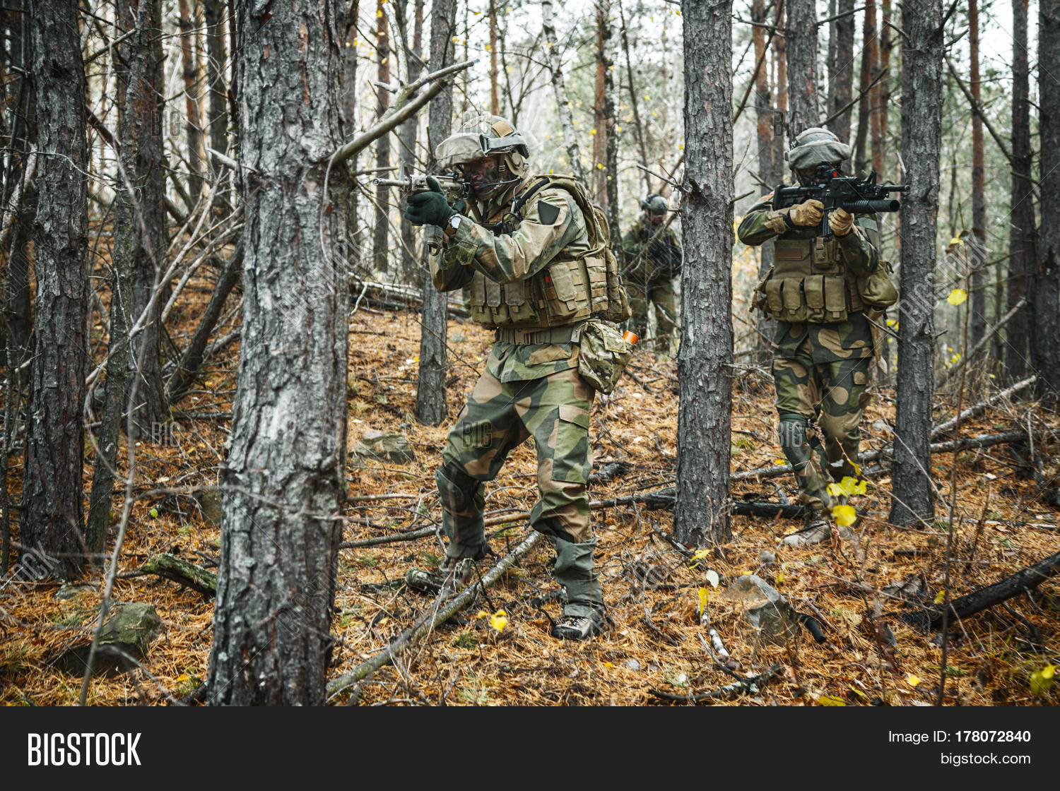 Norwegian Rapid Image Photo Free Trial Bigstock Norwegian Rapid Image Photo Free Trial Bigstock