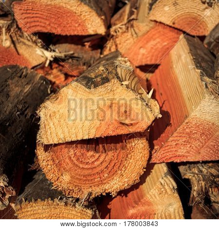 chopped firewood stack  natural firewood - contryside wood objects