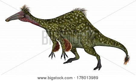 Deinocheirus dinosaur walking isolated in white background - 3D render