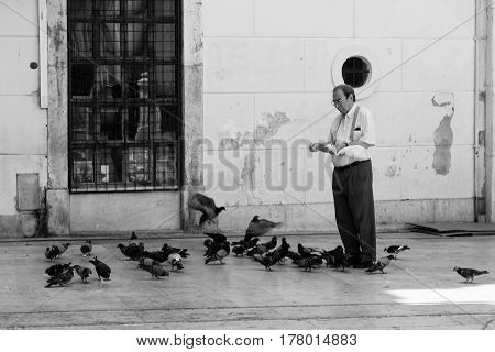 a man feeding pigeons in Lisbon, Portugal, 3 th august 2015