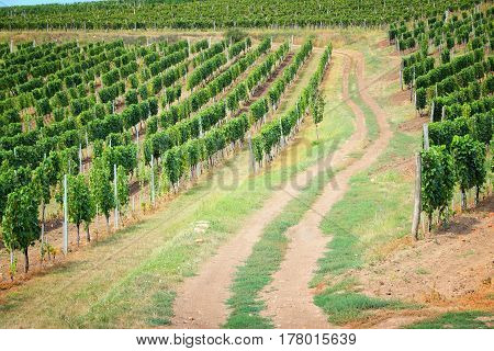 Tokaj, Hungary