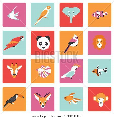 Vector illustration of color tropical birds animals and fishes icon