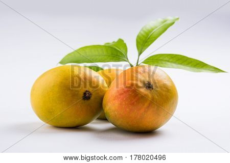 King of fruits; Alphonso yellow Mango fruit duo with stems and green leaf isolated on white background, a product of Konkan from Maharashtra - India