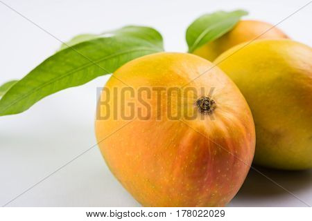 King of fruits; Alphonso yellow Mango fruit duo with stems and green leaf isolated on white background, a product of Konkan from Maharashtra - India