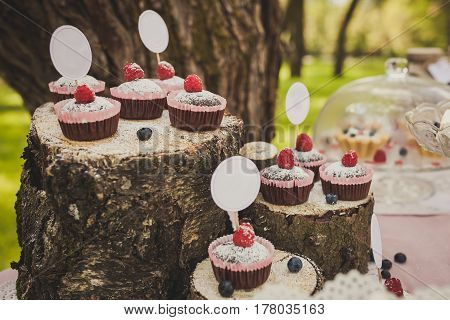 Beautiful festive composition of cakes on stumps