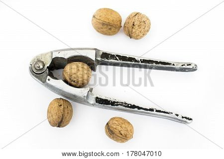 Old Nut Cracker Isolated On White Background With Nuts