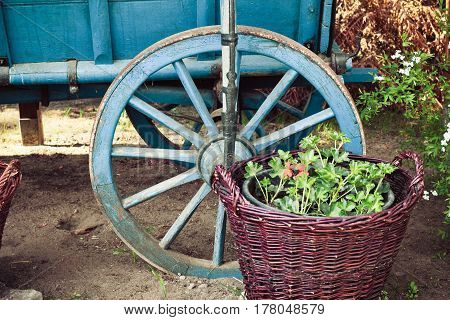 Old Retro Vintage Wooden Trailer With Blue Wheel Close Up, Detail. Countryside View On The Farm