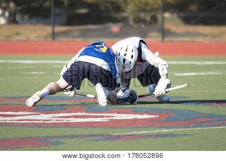 Two lacrosse athletes face off in the middle of the field