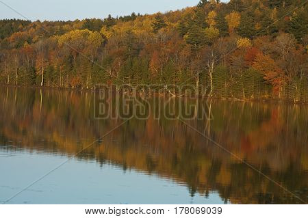 Colorful autumn trees reflected in a Maine lake
