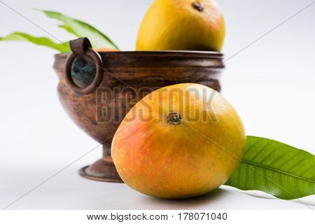 King of fruits; Alphonso yellow Mango fruit duo with stems and green leaf isolated on white background, a product of Konkan from Maharashtra - India