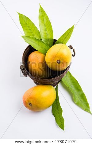 King of fruits; Alphonso yellow Mango fruit duo with stems and green leaf isolated on white background, a product of Konkan from Maharashtra - India
