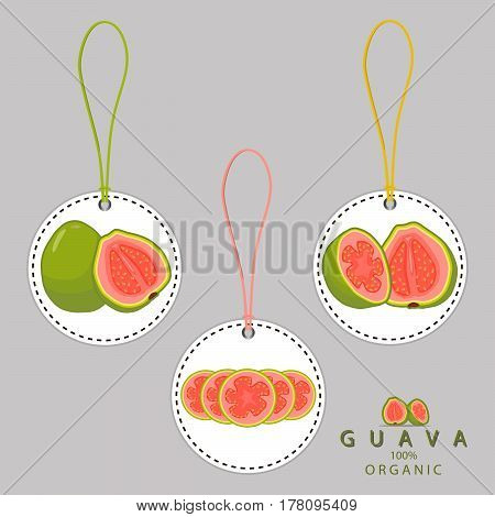 Vector illustration logo for whole ripe fruit red guava cut half sliced amrood background.