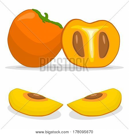 Vector illustration logo for whole ripe yellow fruit persimmon green stem leaf cut half sliced kaki background.
