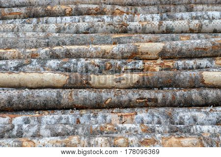 wall, wood, texture, brick, stone, tree, woodpile, log wall