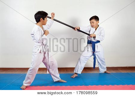 Two boys demonstrate martial arts working together. Fighting position active lifestyle practicing fighting techniques