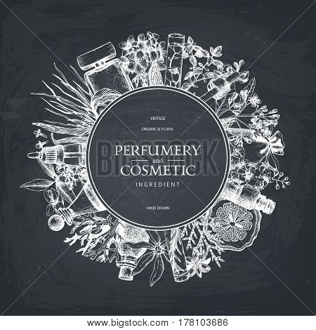 Vintage template. Ink hand drawn design with aromatic plants and fruits on chalkboard. Vector illustration with highly detailed perfumery and cosmetics ingredients sketch.