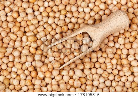wooden scoop on dry chickpea as background. Closeup uncooked chickpea top view. Vegan healthy nutrition