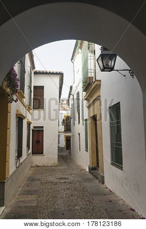 Cordoba (Andalucia Spain): old typical street in the Juderia