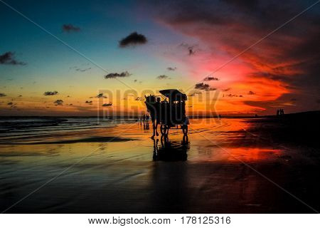 Sunset and silhouette at Parangtritis Beach, Central Java Indonesia
