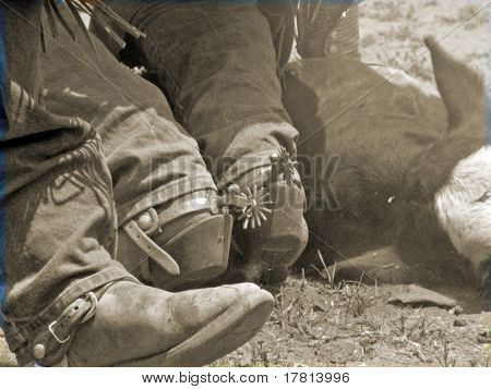 Dusty Spurs