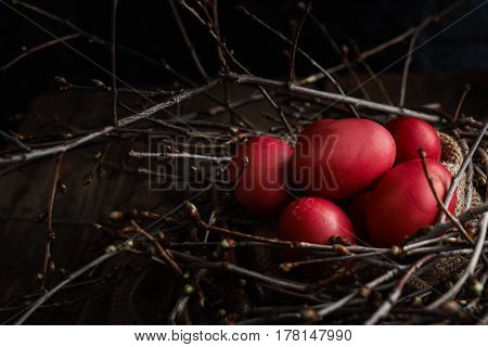 Easter eggs red in the nest with spring branches