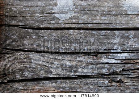 verfallene Holz Gewebe