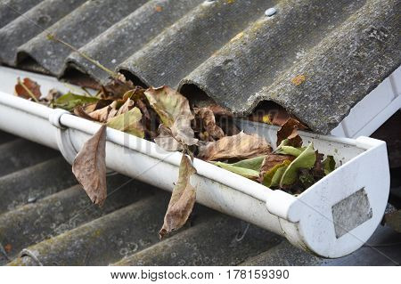 Rain Gutter Cleaning from Leaves in Autumn. Clean Your Gutters Before They Clean Out Your Wallet. Rain Gutter Cleaning.