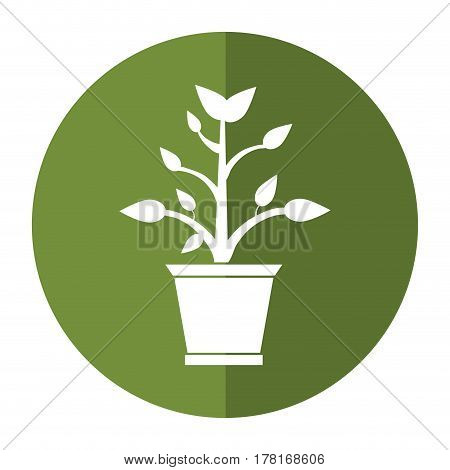 pot plant garden shadow vector illustration eps 10