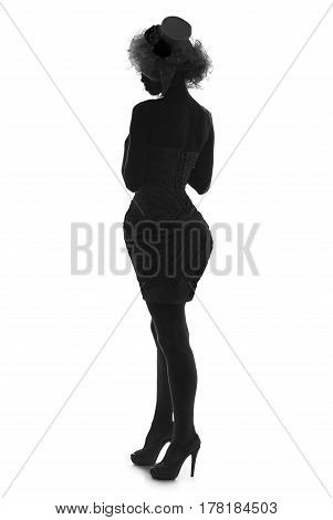 stylish silhouette of a caucasian beautiful woman