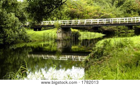 Bridge Over River On Kauai, Hawaii