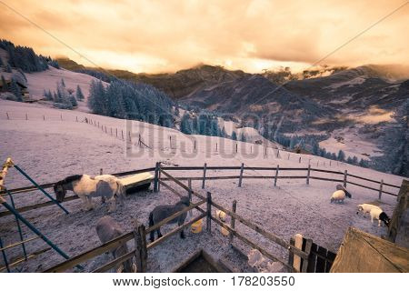 infrared shot of alpine landscape in the simmental valley. photo taken with a modified canon 40d camera.