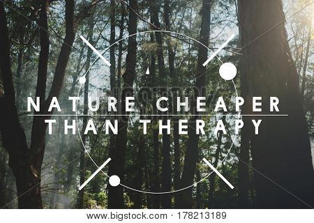 Nature Cheaper than Therapy Holiday Vacation Relaxation