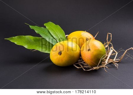 King of fruits; Alphonso yellow Mango fruit duo with stems and green leaf isolated over colourful background, a product of Konkan from Maharashtra - India