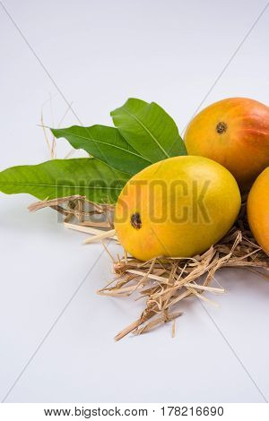 King of fruits; Alphonso yellow Mango fruit duo with stems and green leaf isolated over colourful background, a product of Konkan from Maharashtra - India