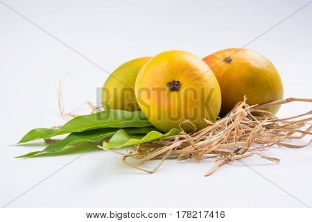 King of fruits; Alphonso yellow Mango fruit duo with stems and green leaf isolated over colourful background, a product of Konkan from Maharashtra - India
