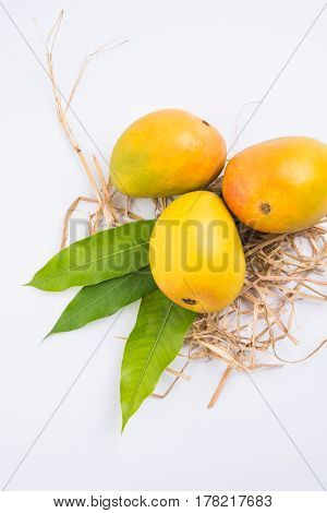 King of fruits; Alphonso yellow Mango fruit duo with stems and green leaf isolated over colourful background, a product of Konkan from Maharashtra - India
