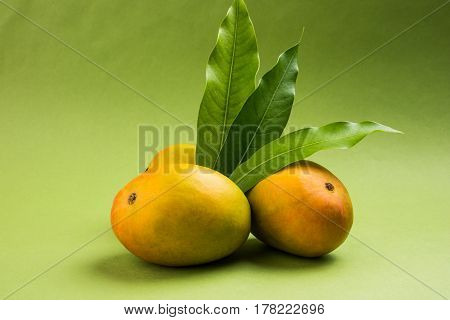 King of fruits; Alphonso yellow Mango fruit duo with stems and green leaf isolated over colourful background, a product of Konkan from Maharashtra - India