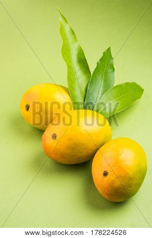 King of fruits; Alphonso yellow Mango fruit duo with stems and green leaf isolated over colourful background, a product of Konkan from Maharashtra - India