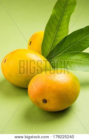 King of fruits; Alphonso yellow Mango fruit duo with stems and green leaf isolated over colourful background, a product of Konkan from Maharashtra - India