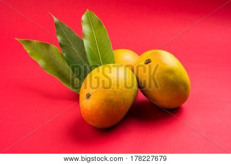 King of fruits; Alphonso yellow Mango fruit duo with stems and green leaf isolated over colourful background, a product of Konkan from Maharashtra - India