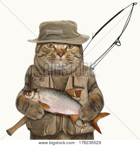 The brave cat is holding a big fish and a spinning rod. He looks like a real fisherman. White background.
