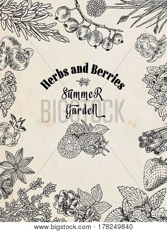 herbs and berries summer garden, food set illustration on the vintage background