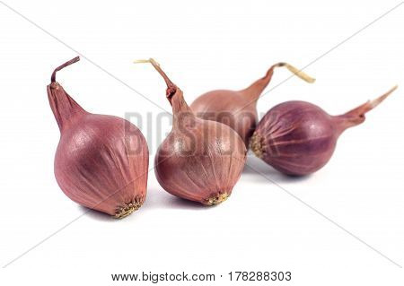 Onions isolated on white background, food ingredient.