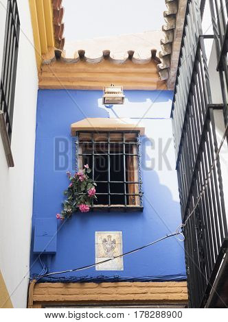 Cordoba (Andalucia Spain): old typical street in the Juderia: blue house