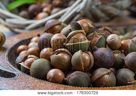 Macadamia nuts harvest close up with leaves