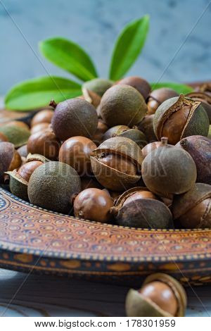 Macadamia nuts harvest close up with leaves