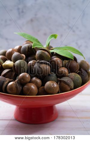 Macadamia nuts harvest close up with leaves